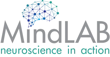 Business Website for mindlab.ie 1